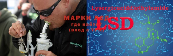 шишки Алзамай