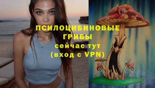 шишки Алзамай