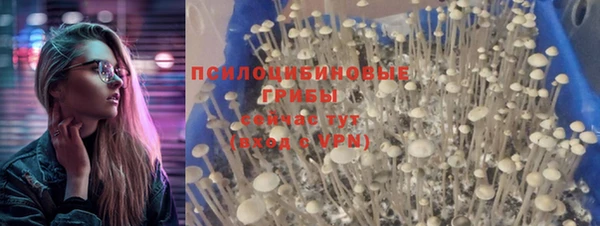 шишки Алзамай