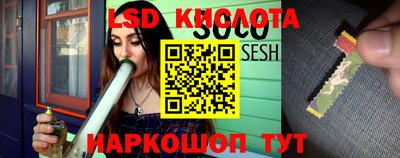 прущие грибы Камышлов