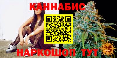 прущие грибы Камышлов