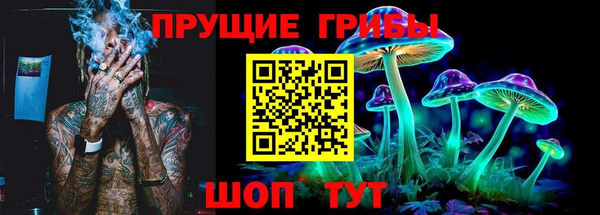 Псилоцибиновые грибы Psilocybe  купить  цена  Крымск  Вход с VPN  Галлюциногенные грибы Psilocybine cubensis 